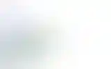 Blurred archive preview