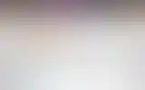 Blurred archive preview