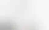 Blurred archive preview