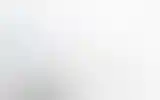 Blurred archive preview