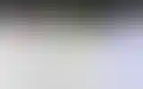 Blurred archive preview