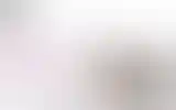 Blurred archive preview