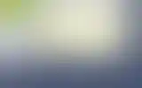 Blurred archive preview
