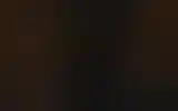 Blurred archive preview