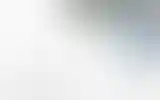 Blurred archive preview