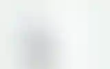 Blurred archive preview