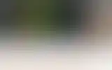 Blurred archive preview