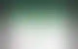 Blurred archive preview