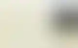 Blurred archive preview