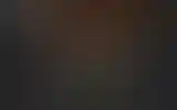 Blurred archive preview