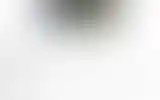 Blurred archive preview