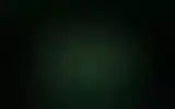 Blurred archive preview