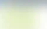 Blurred archive preview