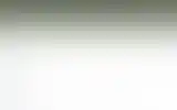Blurred archive preview