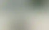 Blurred archive preview