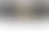 Blurred archive preview