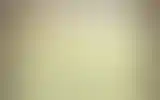 Blurred archive preview