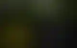 Blurred archive preview
