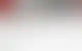 Blurred archive preview