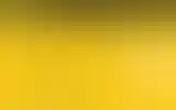 Blurred archive preview