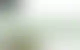 Blurred archive preview