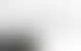 Blurred archive preview