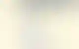 Blurred archive preview
