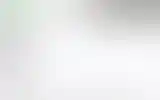 Blurred archive preview