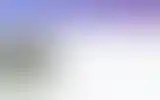 Blurred archive preview