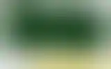 Blurred archive preview