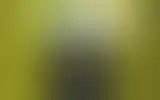 Blurred archive preview