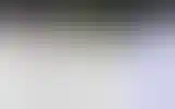 Blurred archive preview