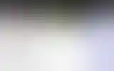 Blurred archive preview