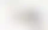 Blurred archive preview