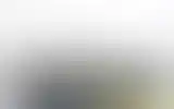 Blurred archive preview