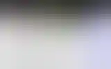 Blurred archive preview