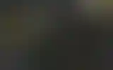 Blurred archive preview