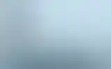 Blurred archive preview