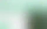Blurred archive preview