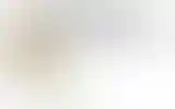 Blurred archive preview