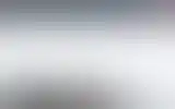 Blurred archive preview