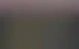 Blurred archive preview