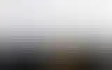 Blurred archive preview