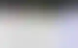 Blurred archive preview