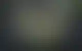 Blurred archive preview