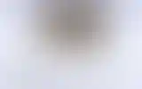 Blurred archive preview