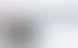 Blurred archive preview