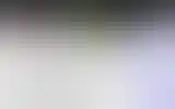 Blurred archive preview
