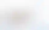 Blurred archive preview