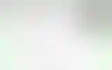 Blurred archive preview
